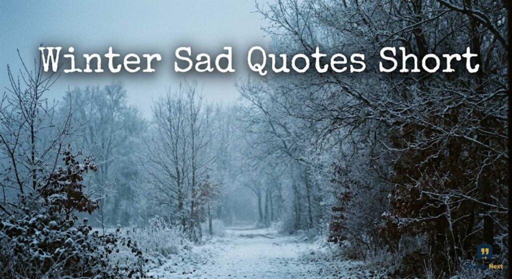 Winter Sad Quotes Short